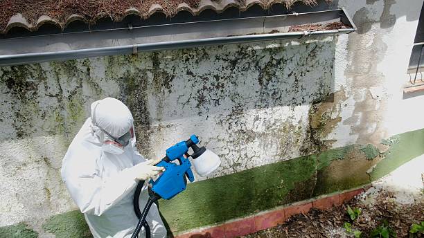 Trusted Crawl Space Mold Removal service in Dover, PA - Cheap Mold Removal